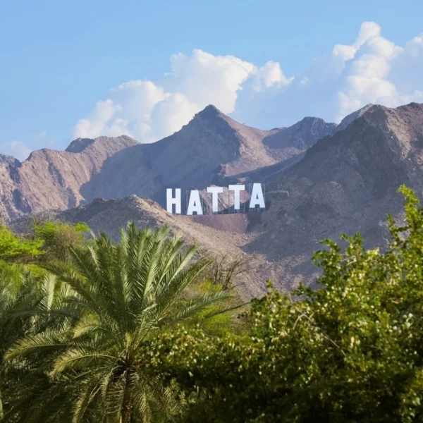 Hatta