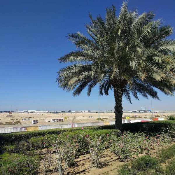 Jebel Ali Industrial Area 3